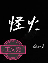 怪火午照的小说